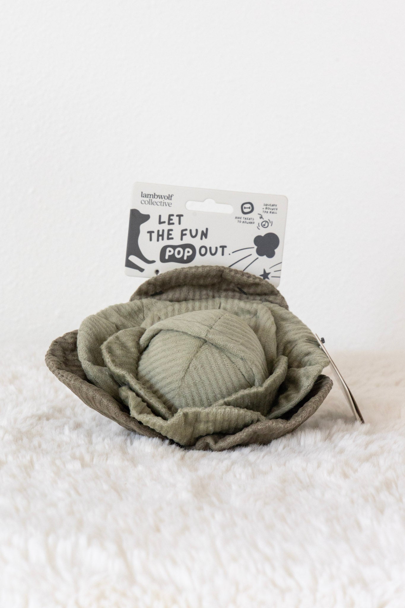 Cabbage Enrichment Toy