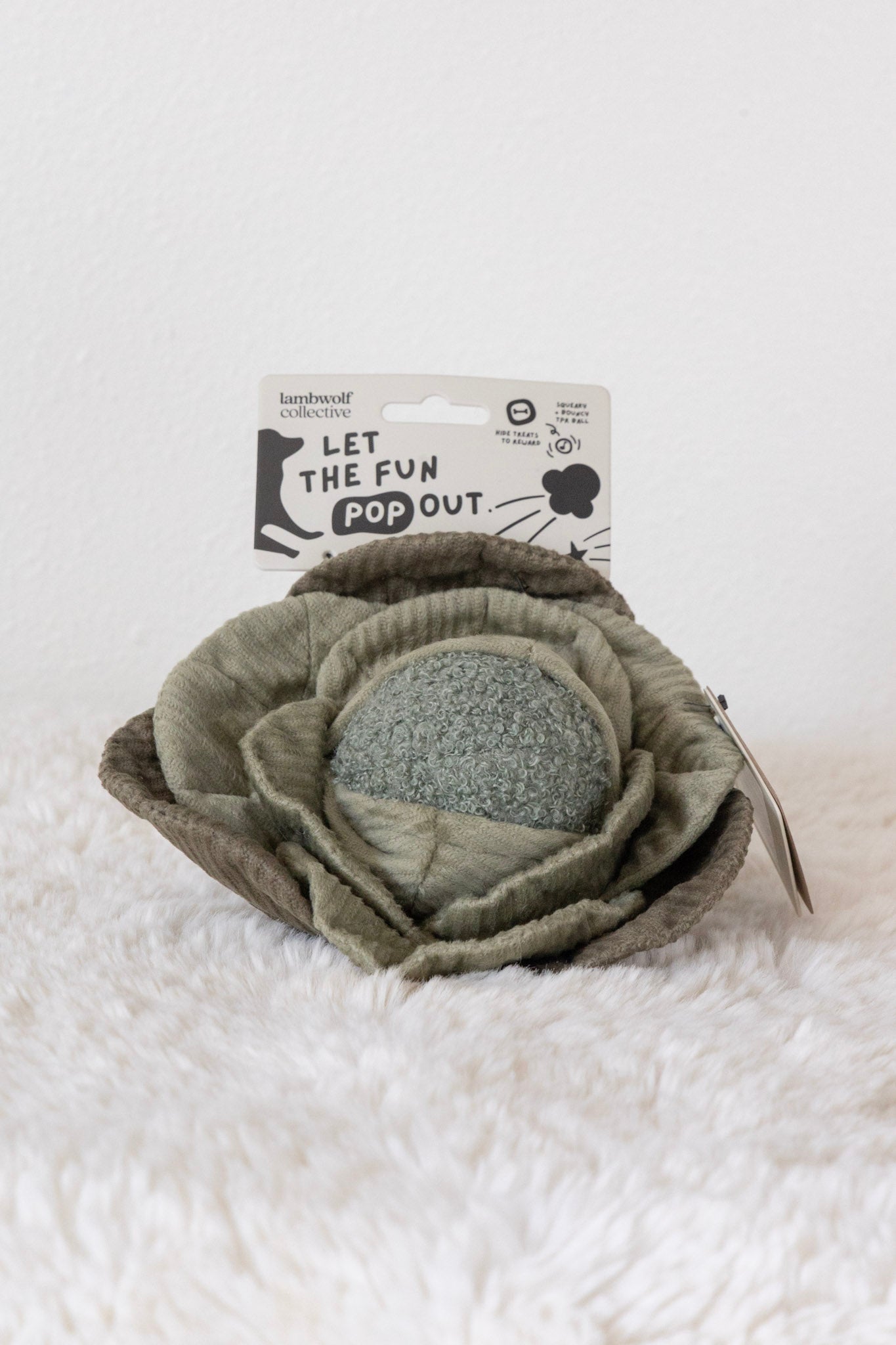 Cabbage Enrichment Toy