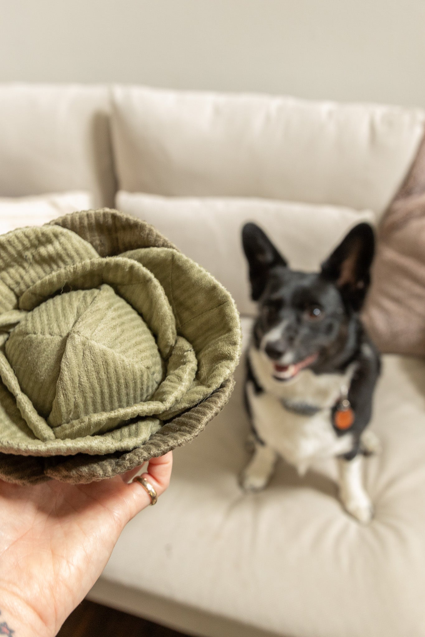 Cabbage Enrichment Toy