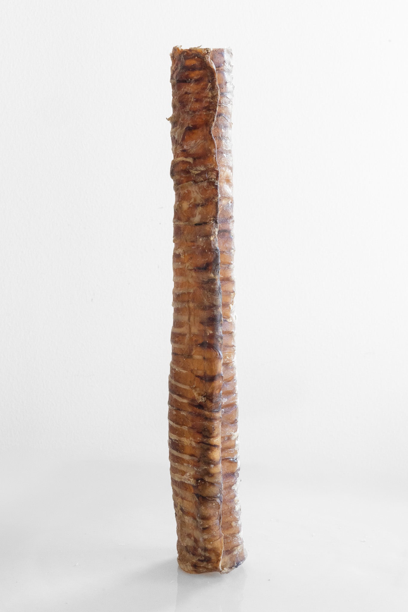 Beef Trachea