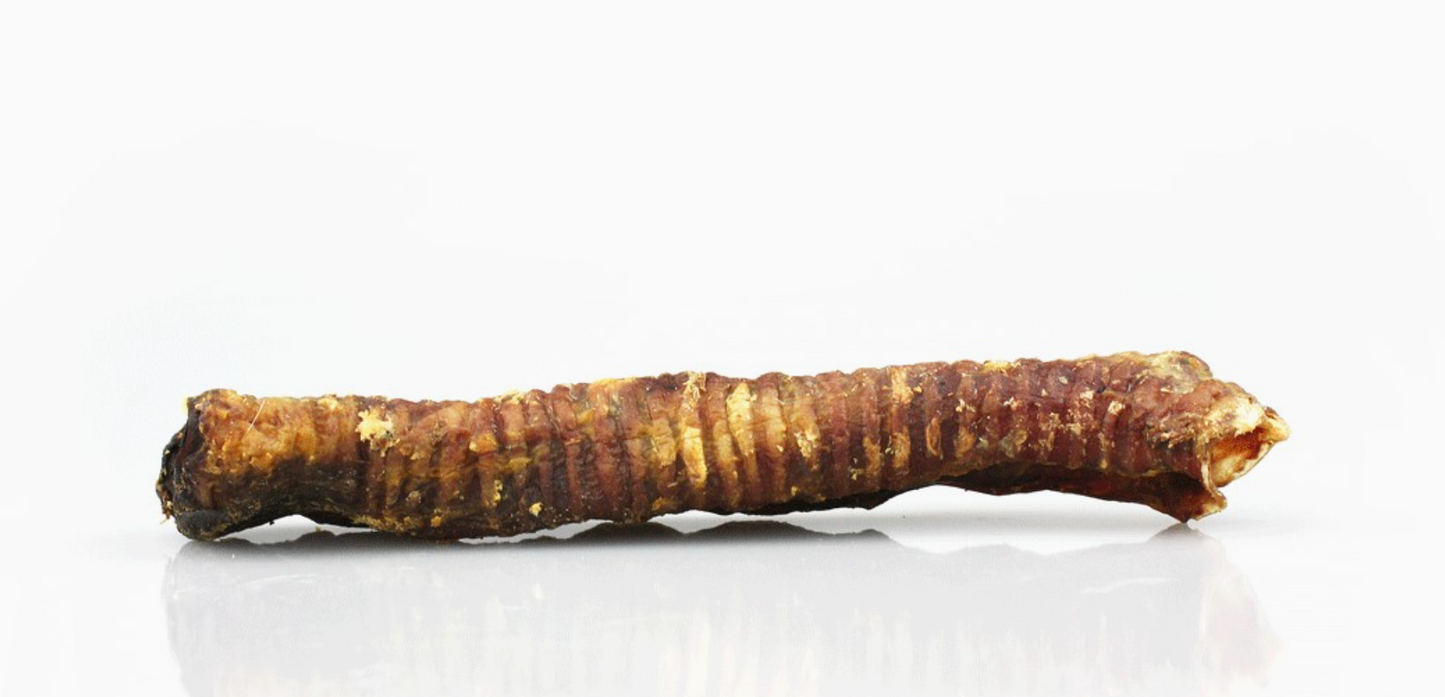 Lamb Trachea (7"-8")