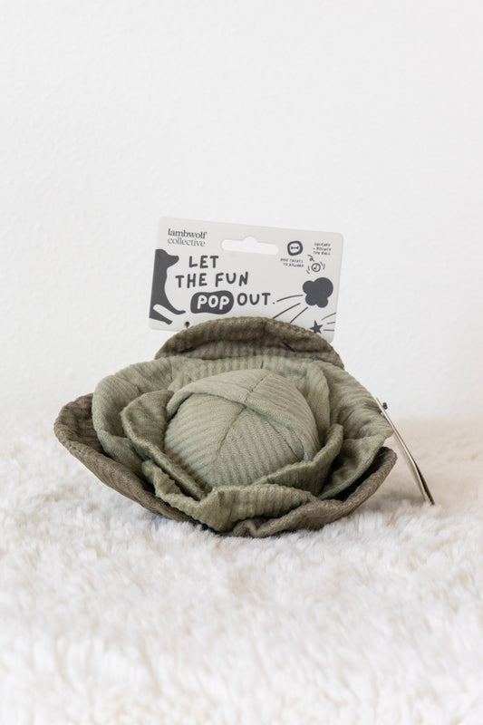 Cabbage Enrichment Toy