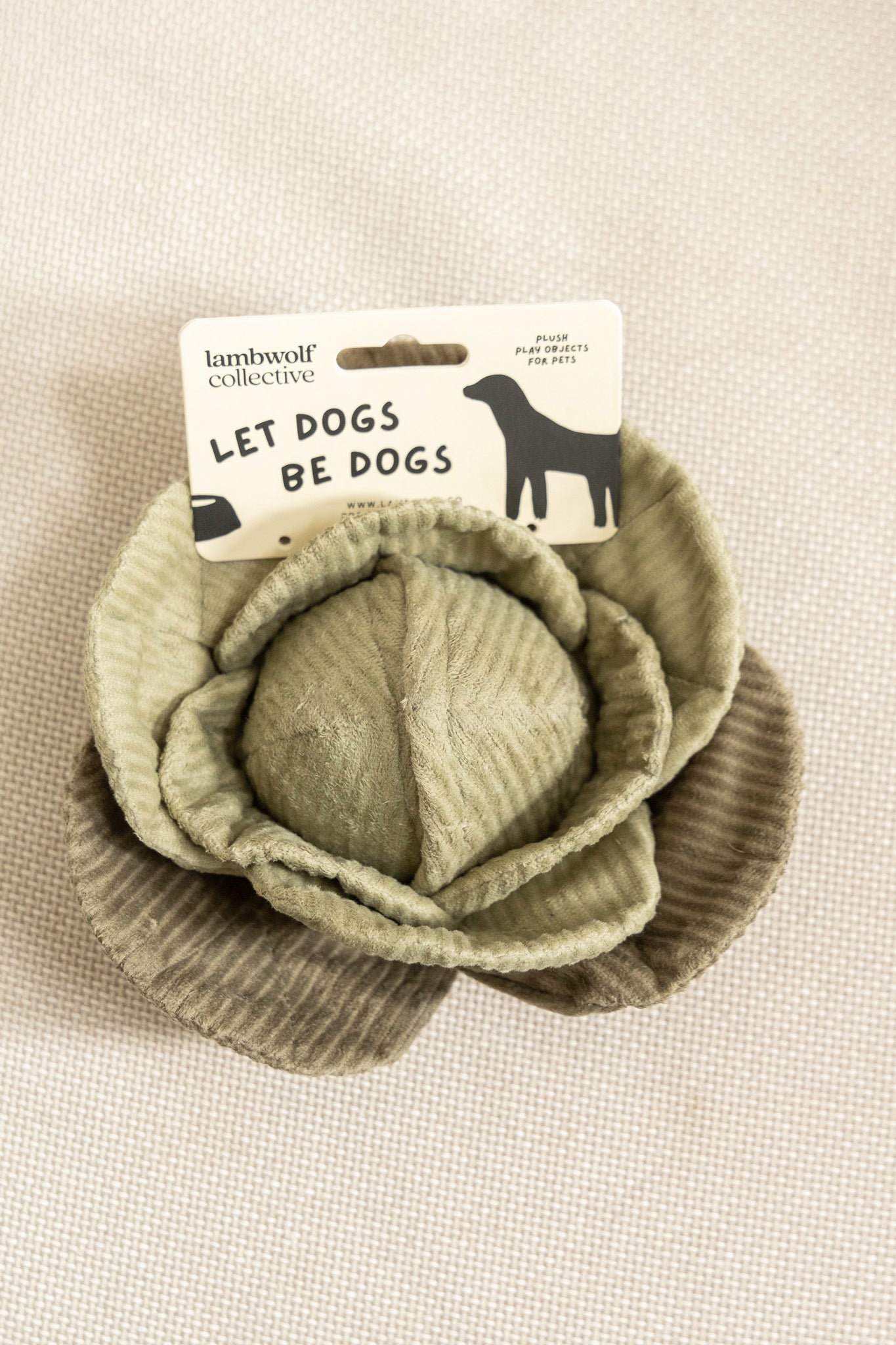 Cabbage Enrichment Toy